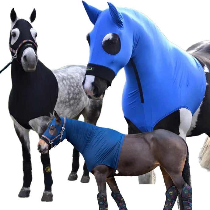 HorzeHoods Blue Lycra Zip Up Hood - With Head & Ears - XXL