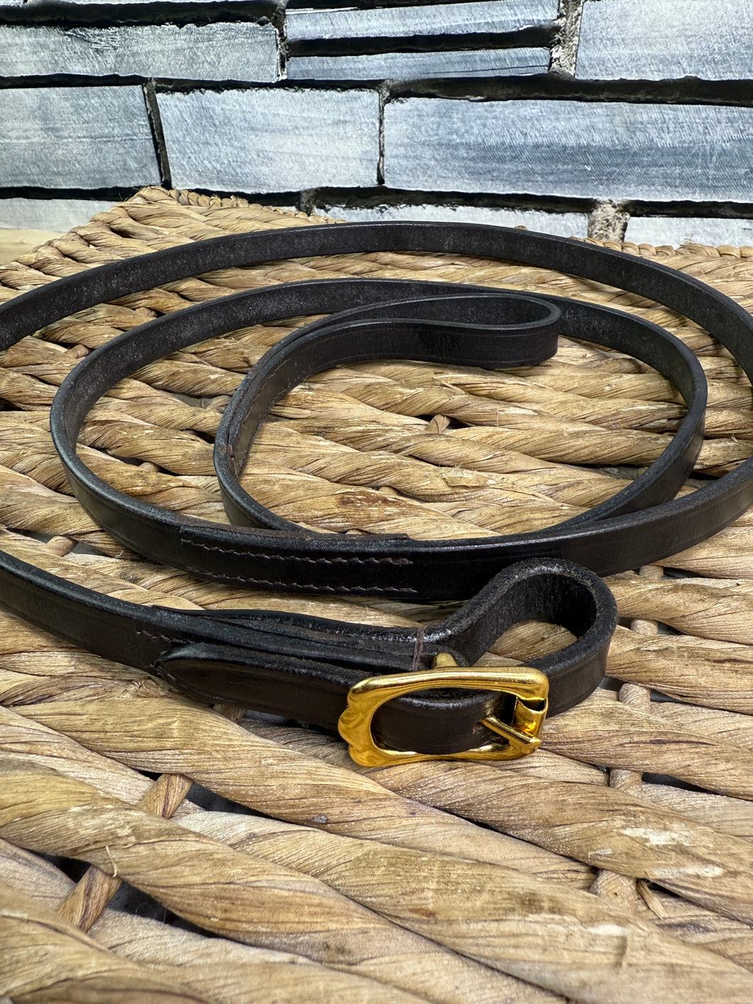 Leather Extra Long In-Hand Show 5/8” Lead Rein - Brown/Brass