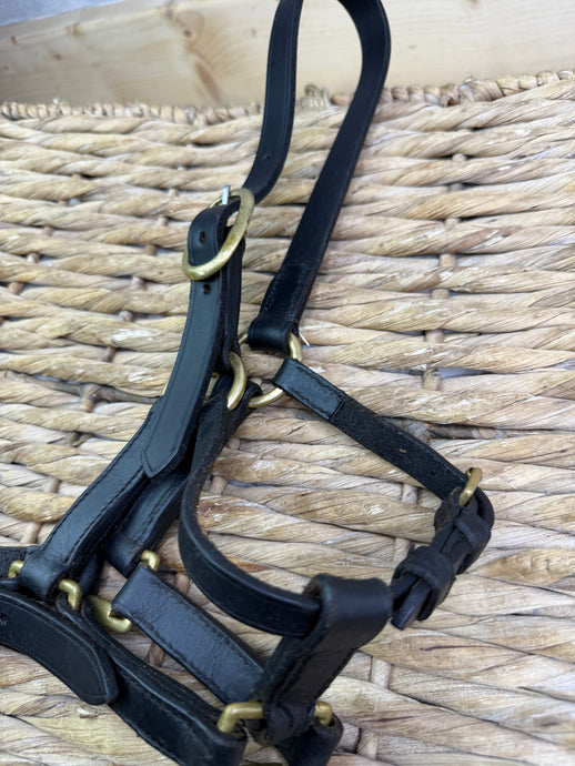 S/H Black & Brass Leather Headcollar - Large Foal