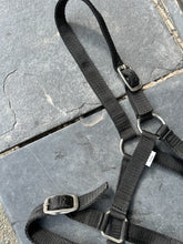 Load image into Gallery viewer, Adjustable Headcollar &amp; Lead Rope Set - Shetland up to Full Size - Black