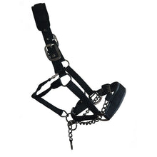 Load image into Gallery viewer, Strong Chain Controller ProSafe Headcollar - Padded -Black- Small Pony/Cob/Full