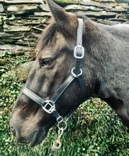 Load image into Gallery viewer, Black Padded Leather Clip Headcollar -Small Pony/Cob/Full/XF- Travel/Shows/Turnout