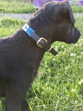 Load image into Gallery viewer, Polo Leather Dog Collars - All Sizes!