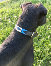 Load image into Gallery viewer, Polo Leather Dog Collars - All Sizes!