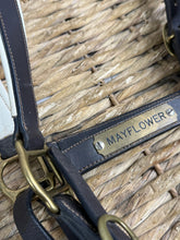 Load image into Gallery viewer, S/H XF English Leather Padded Headcollar - Brown/White/Brass