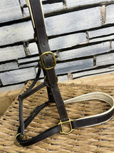 Load image into Gallery viewer, S/H XF English Leather Padded Headcollar - Brown/White/Brass