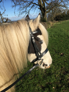 Flat Hunter Bridle & Rubber Reins M&M/Native/Shetland/Cob/Show - All Sizes