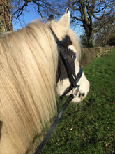 Load image into Gallery viewer, Flat Hunter Bridle &amp; Rubber Reins M&amp;M/Native/Shetland/Cob/Show - All Sizes