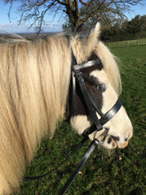 Load image into Gallery viewer, Flat Hunter Bridle &amp; Rubber Reins M&amp;M/Native/Shetland/Cob/Show - All Sizes