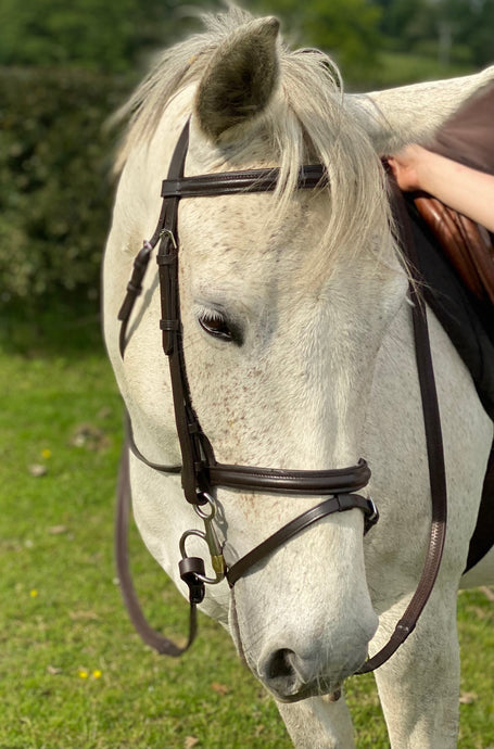 Quality Leather Flash Bridle - Soft Rubber Reins - Cob/Full/XF Black/Brown - Cob, Full & XF