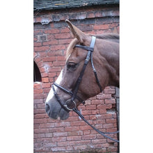 Load image into Gallery viewer, Very Pretty Pony &amp; Small Pony Dainty Flash Bridle with Soft Rubber Reins