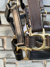 Load image into Gallery viewer, Foal/Mini Leather Headcollar - Brown/Brass Fittings