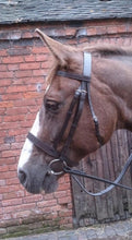 Load image into Gallery viewer, Hunter Bridle, Plaited Browband &amp; Rubber Reins-M&amp;M/Native/Shetland/Pony/Cob/XF