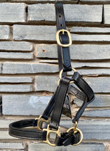 Load image into Gallery viewer, Foal/Mini Leather Headcollar - Brown/Brass Fittings