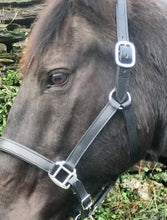 Load image into Gallery viewer, Black Padded Leather Headcollar -Small Pony/Cob/Full/XF- Travel/Shows/Turnout