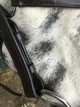 Load image into Gallery viewer, Complete Mexican Grackle Bridle &amp; Rubber Grip Reins - Pony/Cob/Full