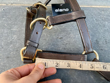 Load image into Gallery viewer, Foal/Mini Leather Headcollar - Brown/Brass Fittings