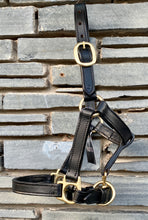Load image into Gallery viewer, Foal/Mini Leather Headcollar - Brown/Brass Fittings