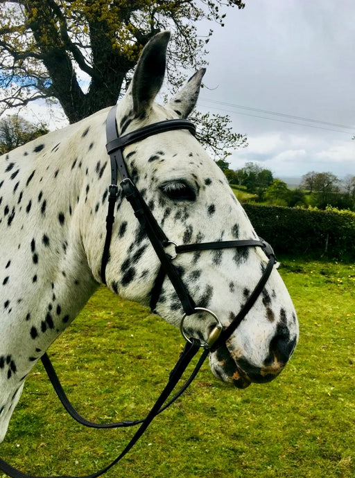 Complete Mexican Grackle Bridle & Rubber Grip Reins - Pony/Cob/Full