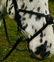 Load image into Gallery viewer, Complete Mexican Grackle Bridle &amp; Rubber Grip Reins - Pony/Cob/Full